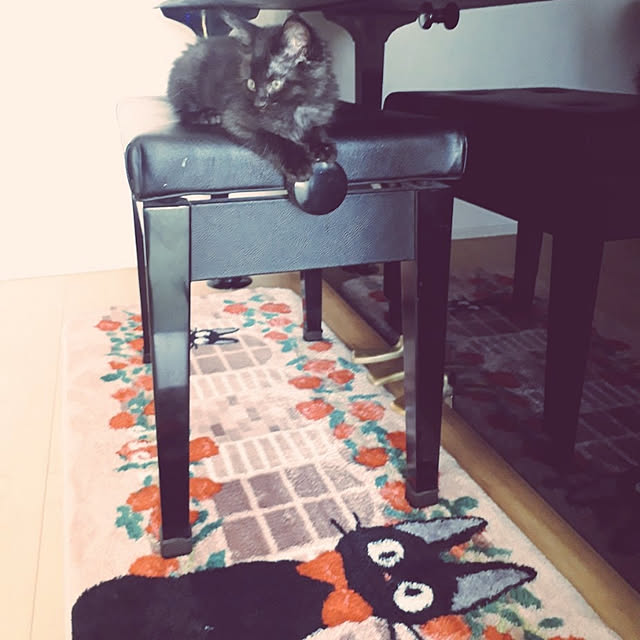 aiさんの実例写真
