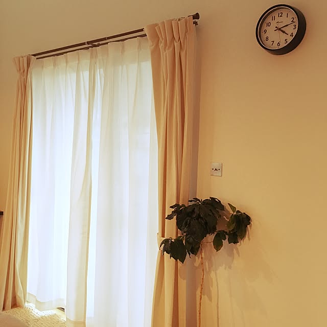 koyu163さんの実例写真
