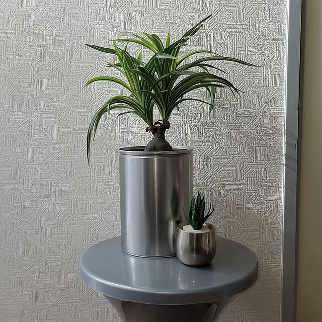 iquoさんの実例写真