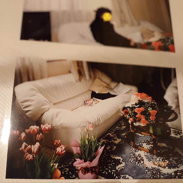 akaidarumaさんの部屋