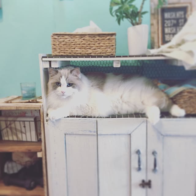 runtenさんの実例写真