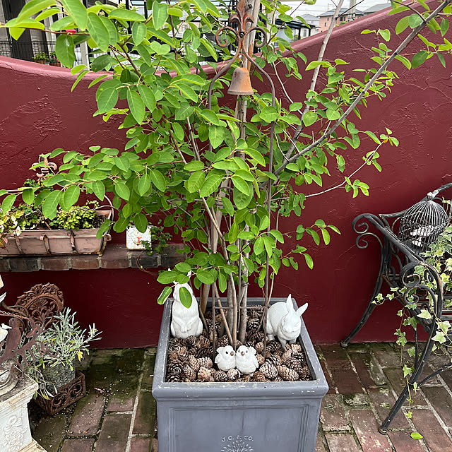 AYUKOさんの実例写真