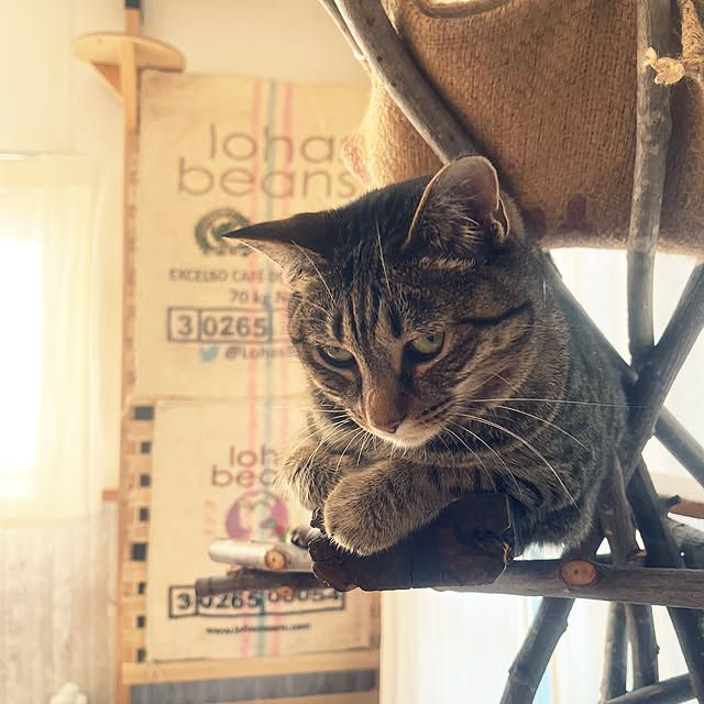Mさんの部屋