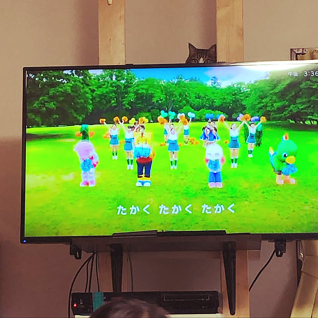 chacoさんの実例写真