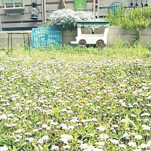 MMYSさんの実例写真