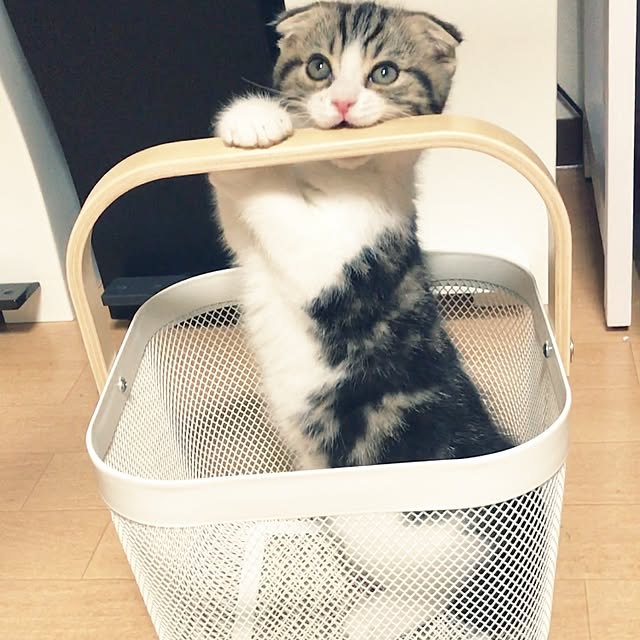 tansukeさんの実例写真