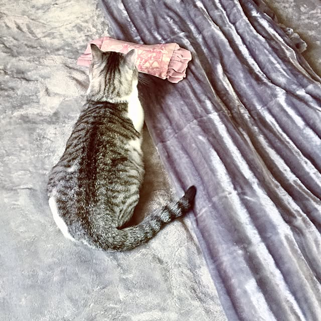 emmyyさんの実例写真