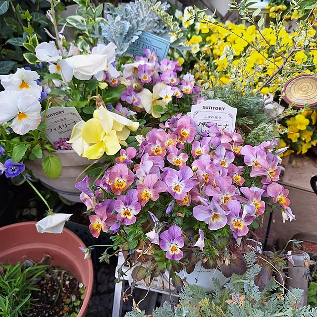 Blancheさんの部屋