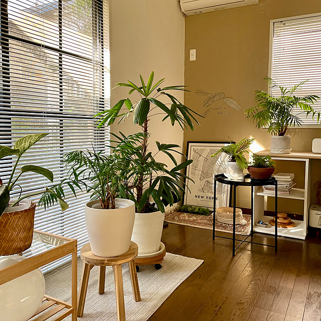 justyさんの実例写真