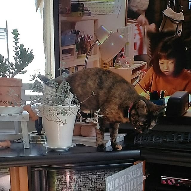 mcomcoさんの実例写真