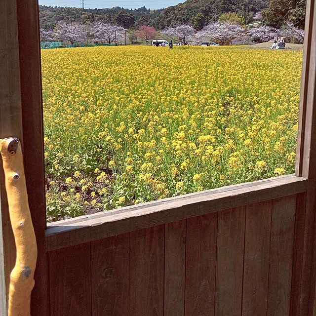 mocomocoさんの部屋