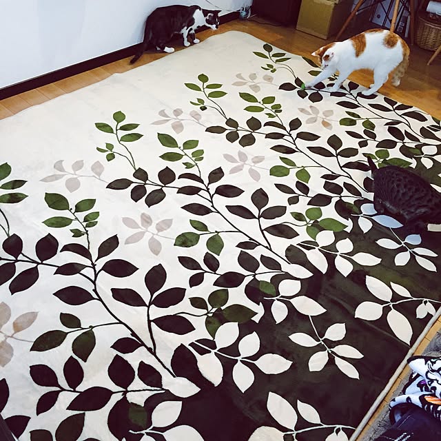minkokoさんの実例写真