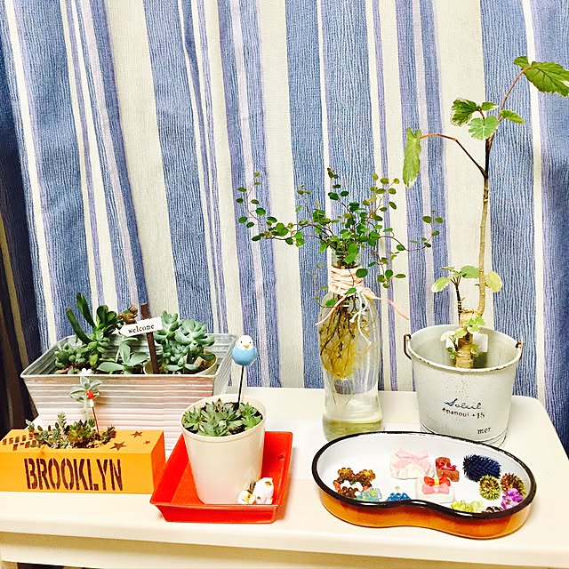 takakoさんの実例写真