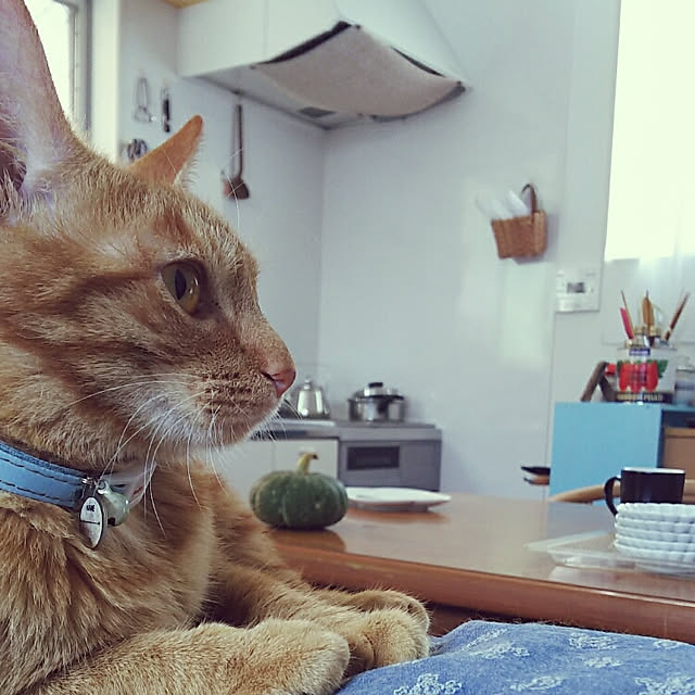 37さんの実例写真