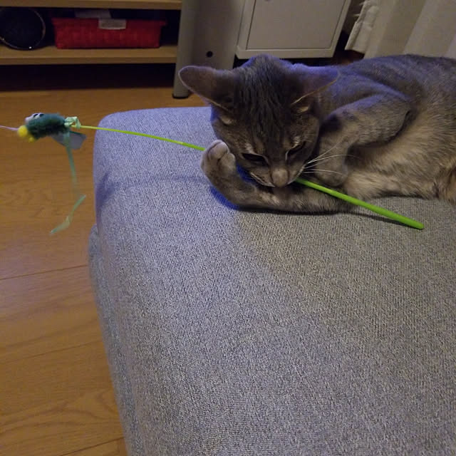 yukiさんの実例写真