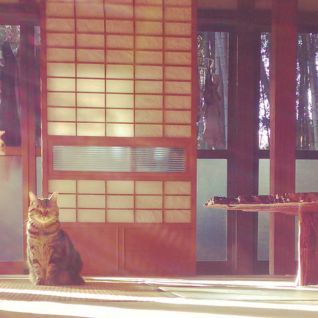 実例写真