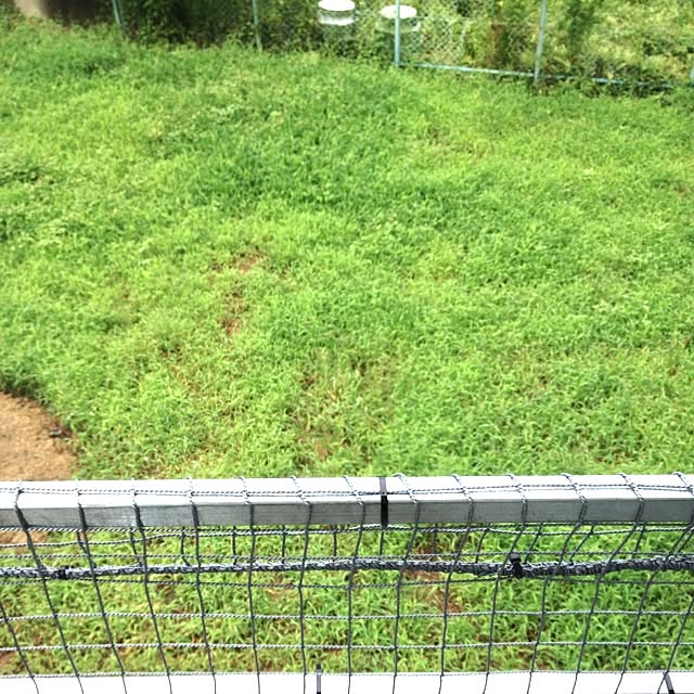 Takuさんの実例写真
