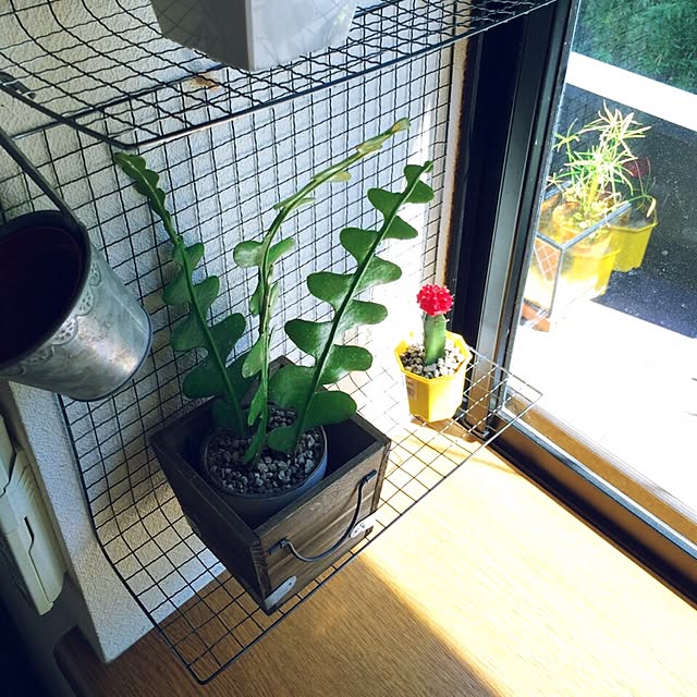 L.さんの実例写真
