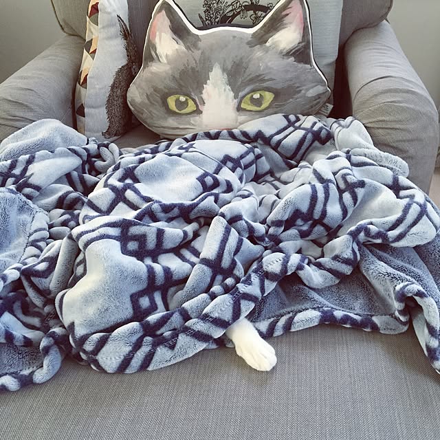 yuchiさんの実例写真