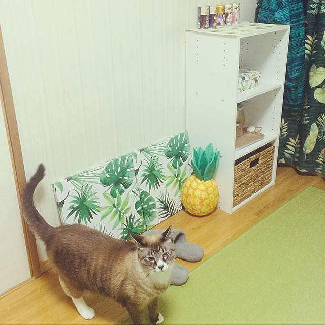 Liaさんの実例写真