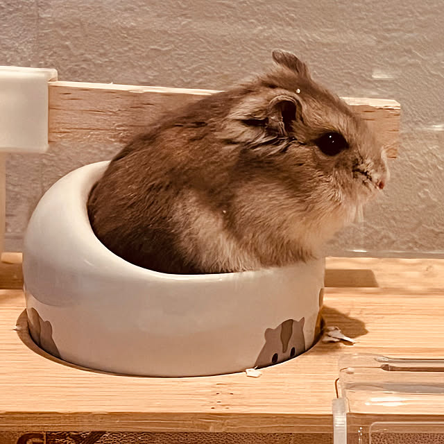 linkaさんの部屋