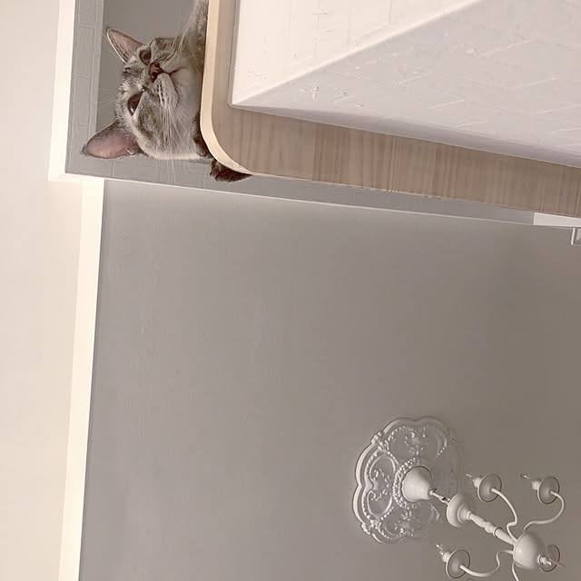 noelさんの実例写真