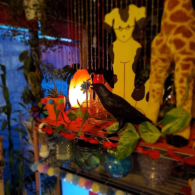 kumutanさんの実例写真