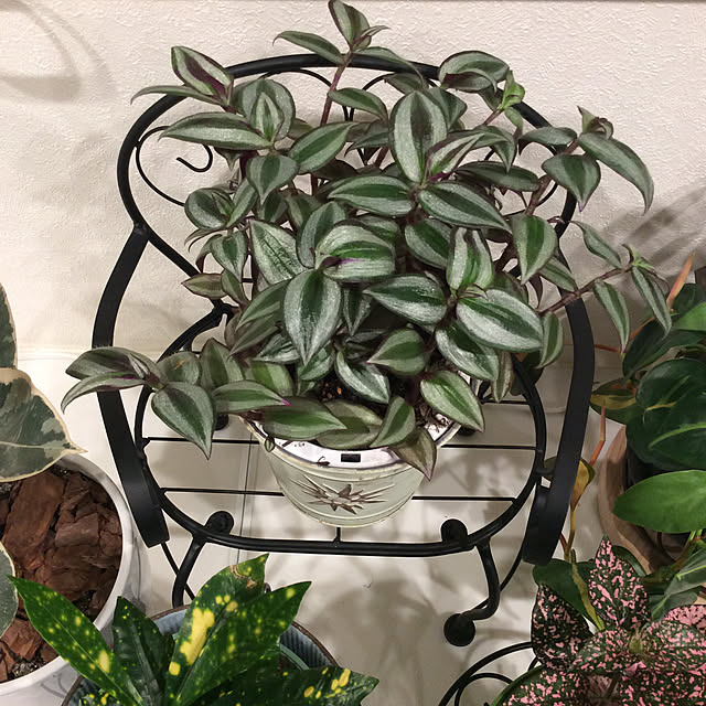 houenさんの実例写真