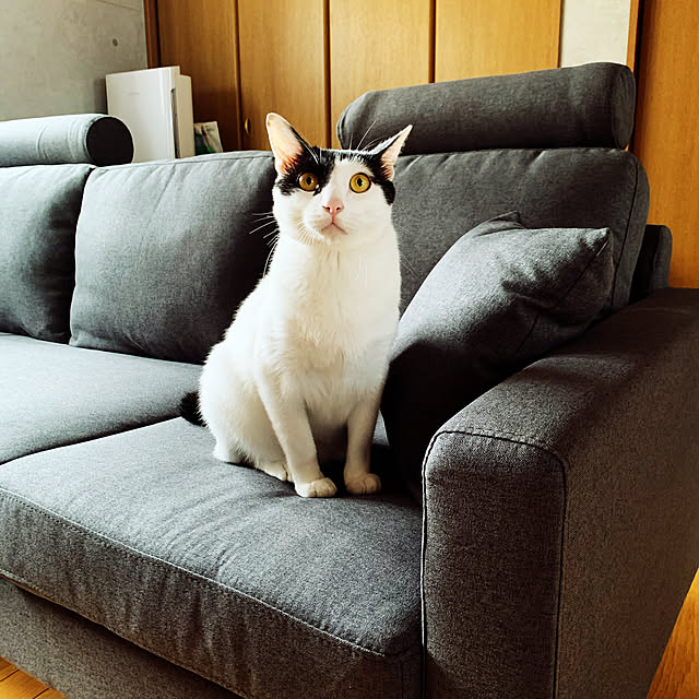 pon8さんの実例写真