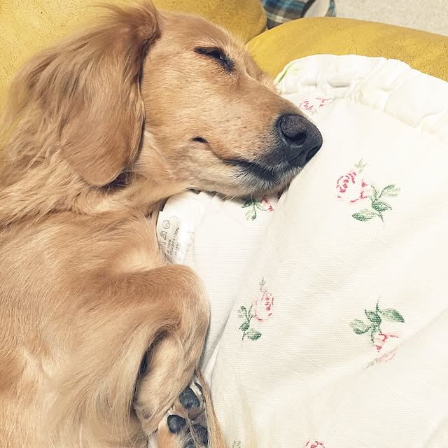 bibianさんの実例写真