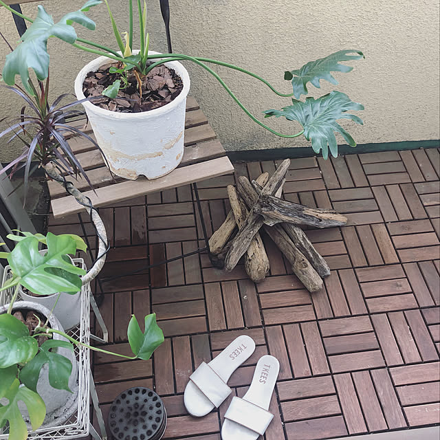 colorerさんの実例写真