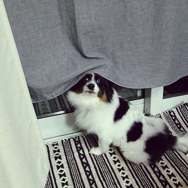 Smileberryさんの実例写真