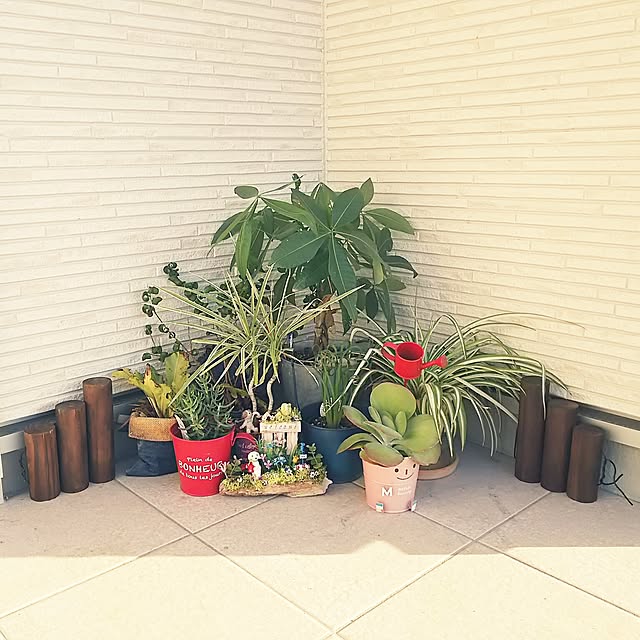 実例写真