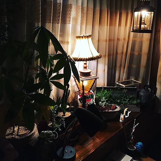 rinppさんの実例写真