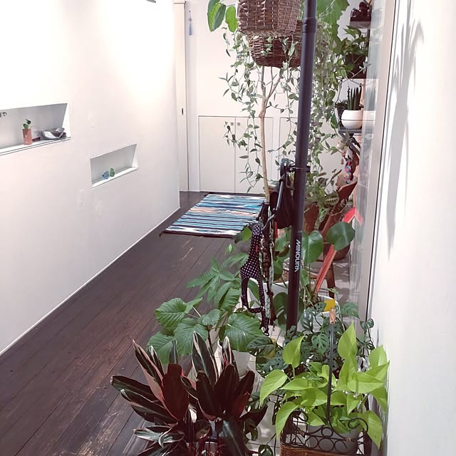 ROCKさんの部屋