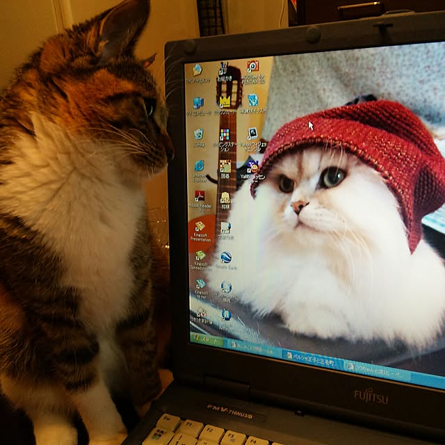 junnosukeさんの実例写真