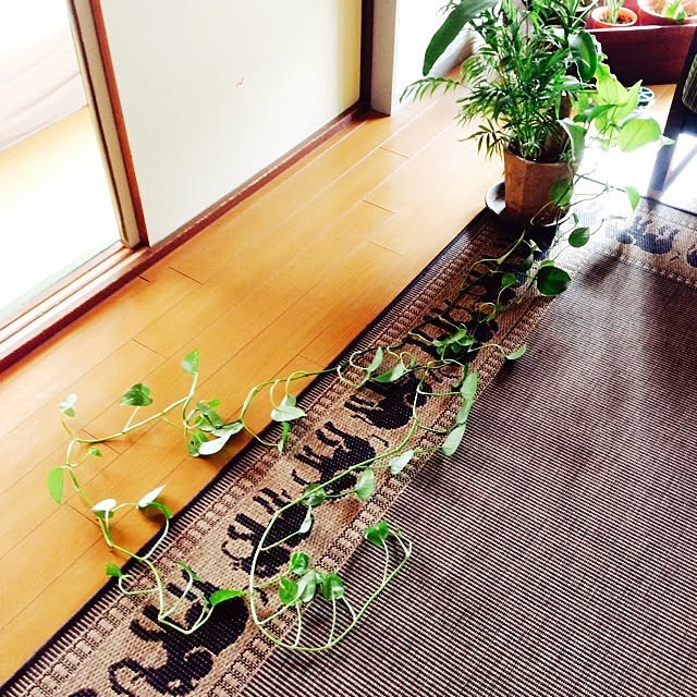 chihiroさんの実例写真