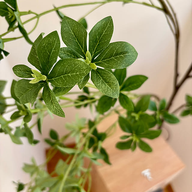 kasugaiさんの部屋