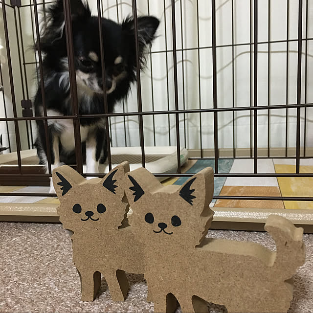 koroさんの実例写真