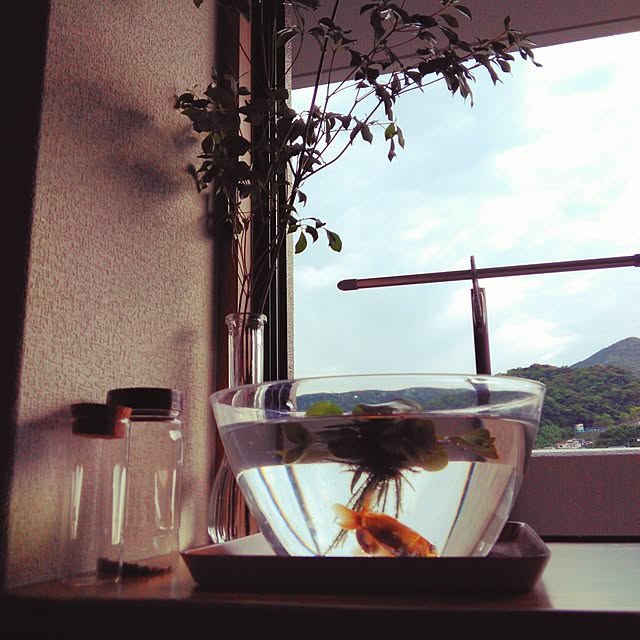 anna.toさんの実例写真