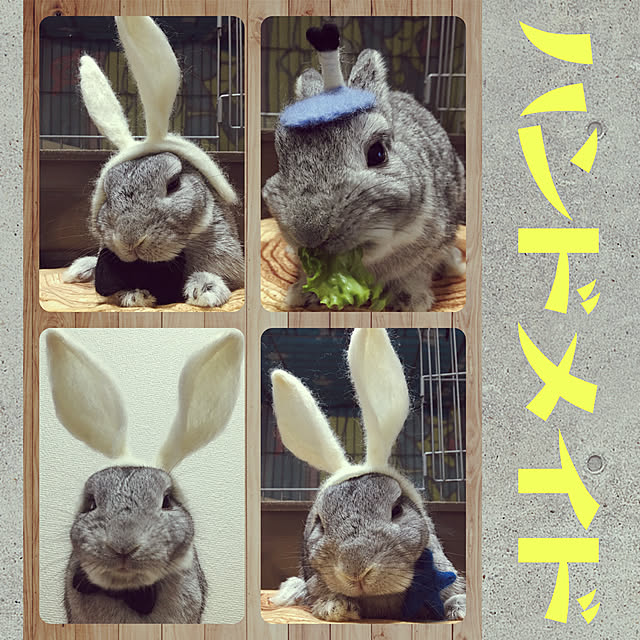 55さんの実例写真