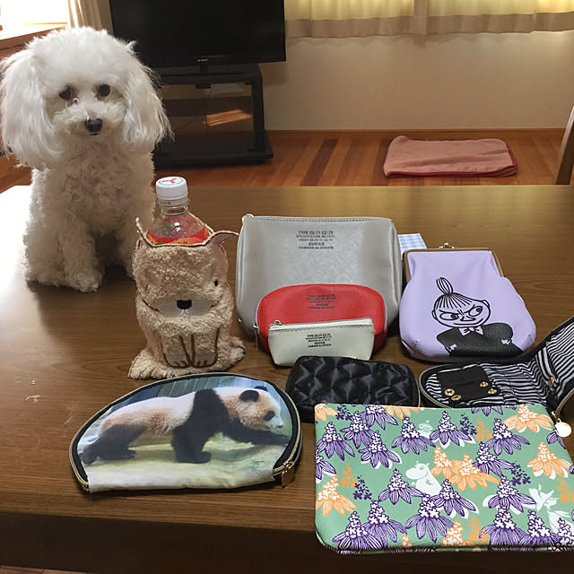 kakoさんの実例写真