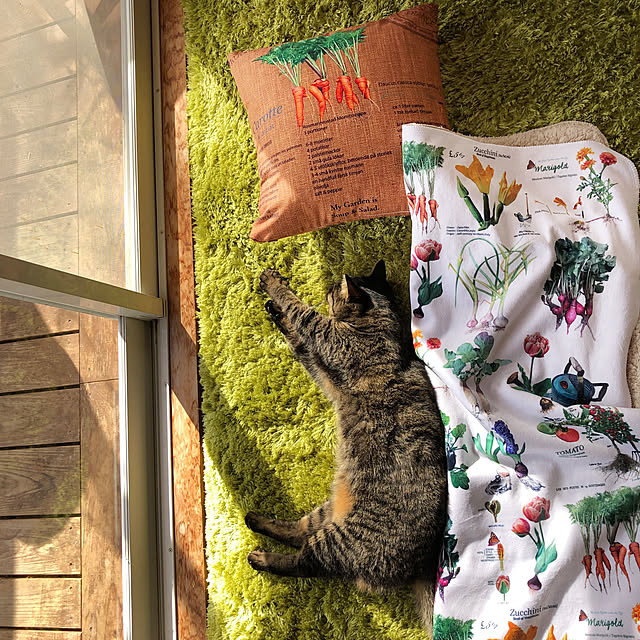 weさんの実例写真