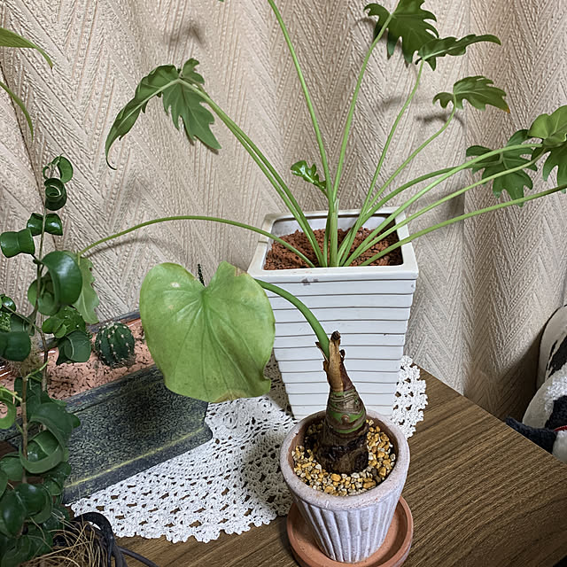 JUNさんの実例写真