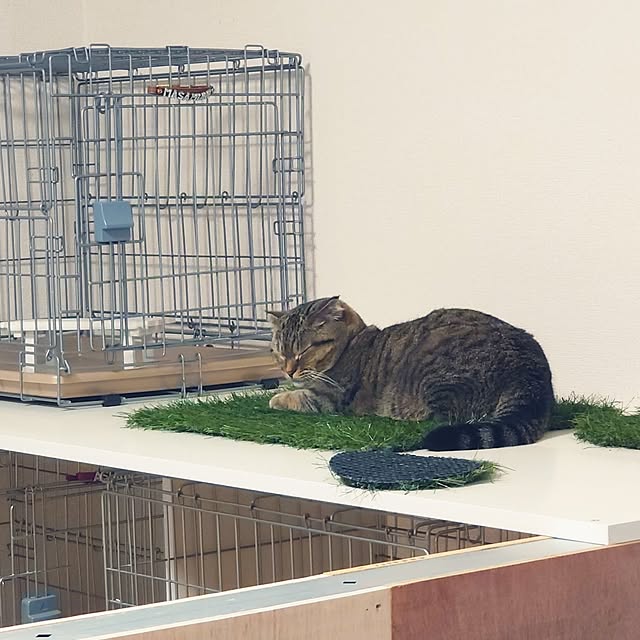 noguriさんの部屋
