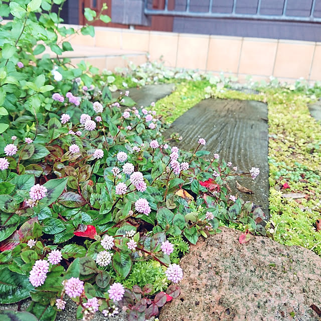 s_h_yさんの実例写真