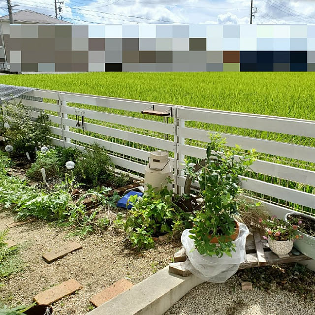 sayaさんの実例写真