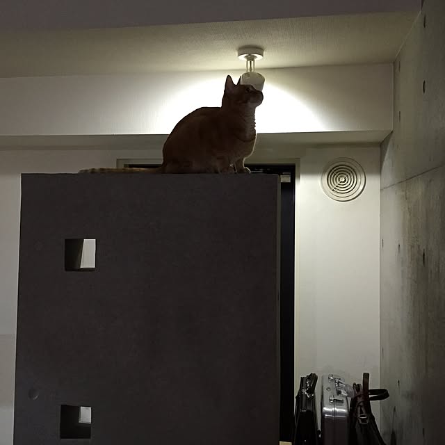 AkiOgawaさんの実例写真