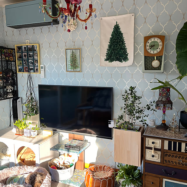 cloverさんの部屋