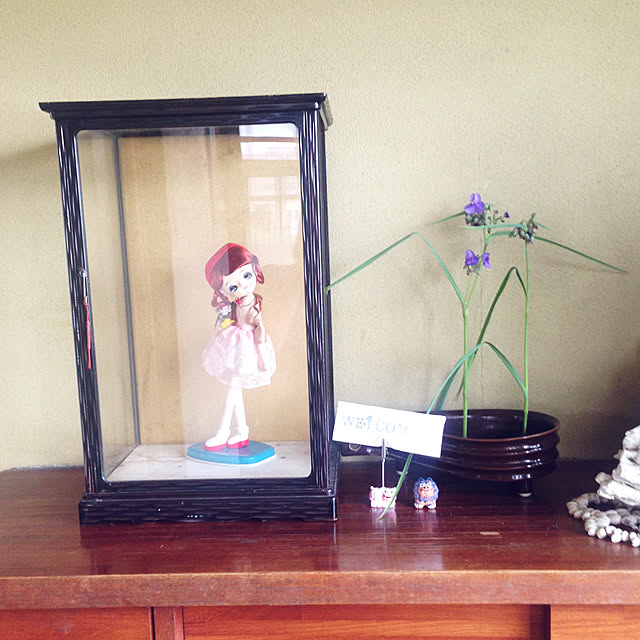 aoinokimiさんの実例写真
